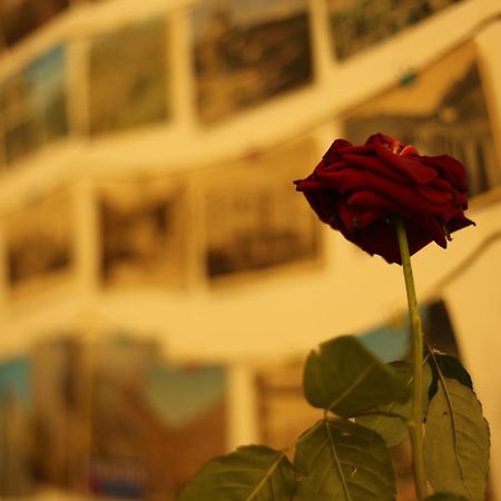 Moosica Hostel ティビリシ エクステリア 写真